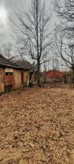 Нежилое здание площадью 63,8 кв. м, расположенное на земельном участке площадью 1266 кв. м в Зеленогорске на улице Мира.
